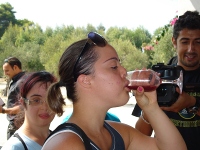 Degustazione del mosto Degustazione del mosto