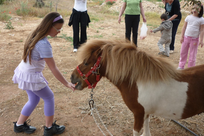 Una bambina socializza con il pony