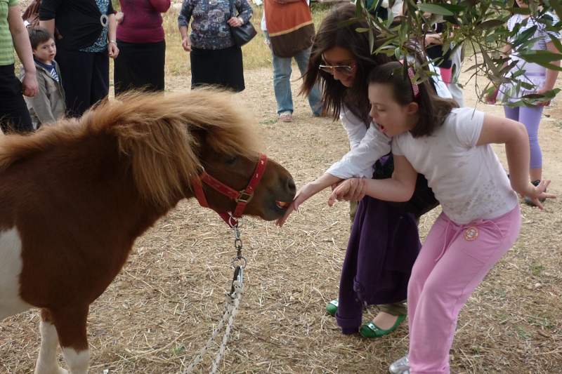 Una bambina cerca di fare amicizia con il pony