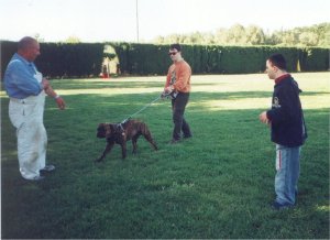 Riccardo si cimenta ad addestrare un cane